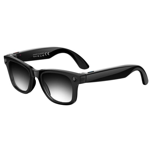 elvox IA lunette vision pro